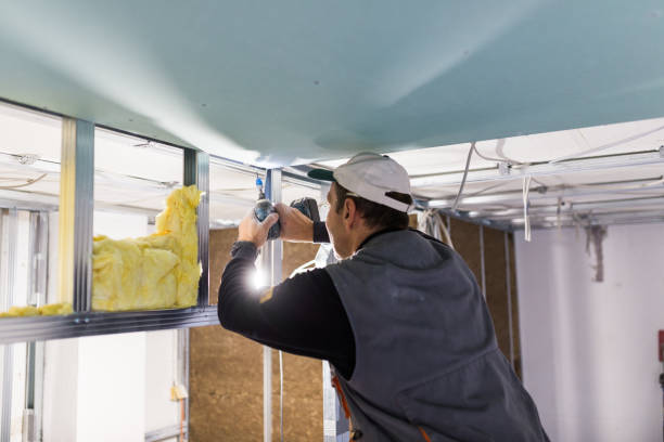 Best Eco-Friendly Insulation in Elm Grove, WI