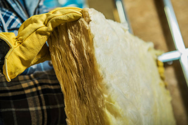 Best Energy Efficiency Insulation in Elm Grove, WI