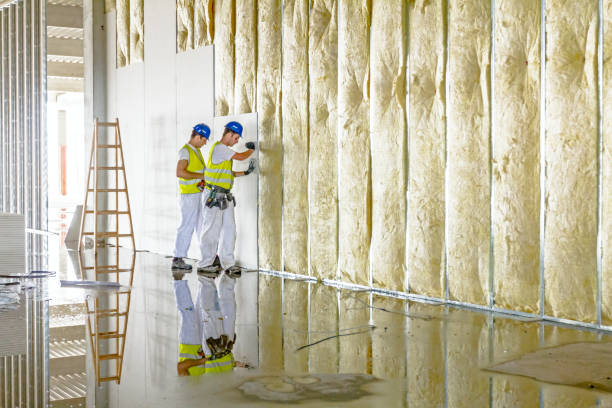 Professional Insulation Contractor in Elm Grove, WI
